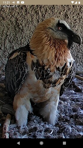 Screenshot_20220728-112137