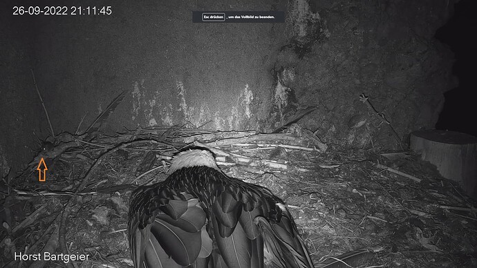 Mascha_Hans_220926_Maus