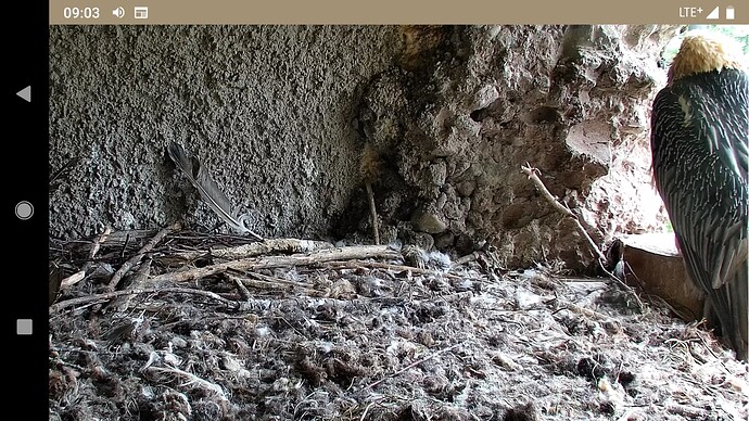 Screenshot_20220929-090359