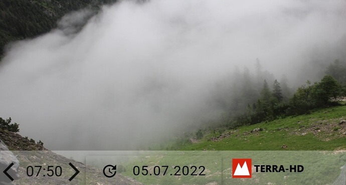 Screenshot_20220705-080046_Edge