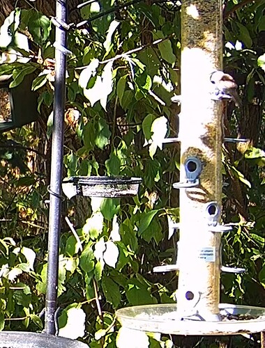 Screenshot_20220812-090118_Samsung Internet