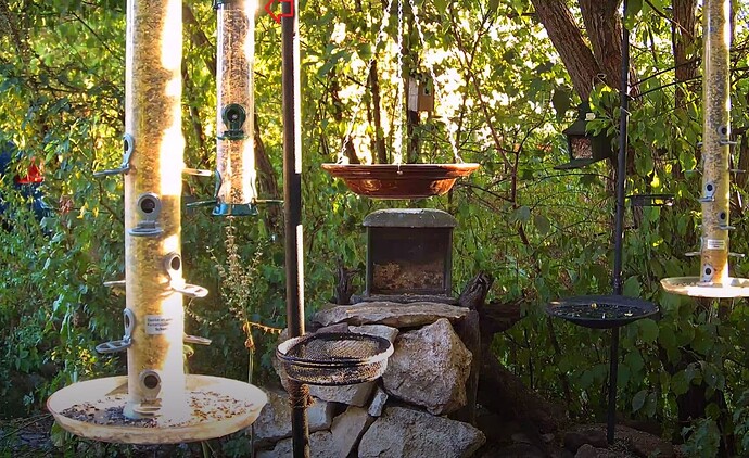 Snap_2022.08.10_19h31m04s_006_