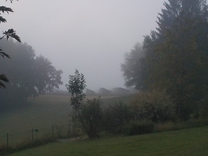 DSCN3668