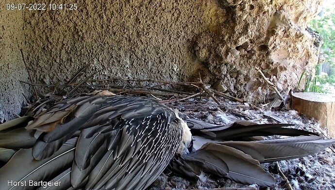 Screenshot_20220709-104203_Edge