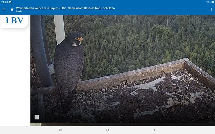 Screenshot_20220717-212334_Chrome