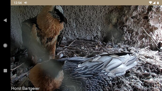 Screenshot_20221012-125430