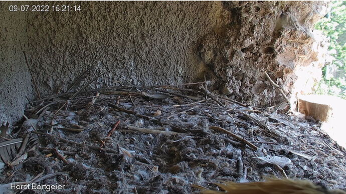 Snap_2022.07.09_15h21m55s_033_