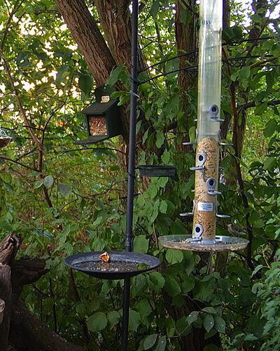 Snap_2022.08.08_06h10m09s_002_