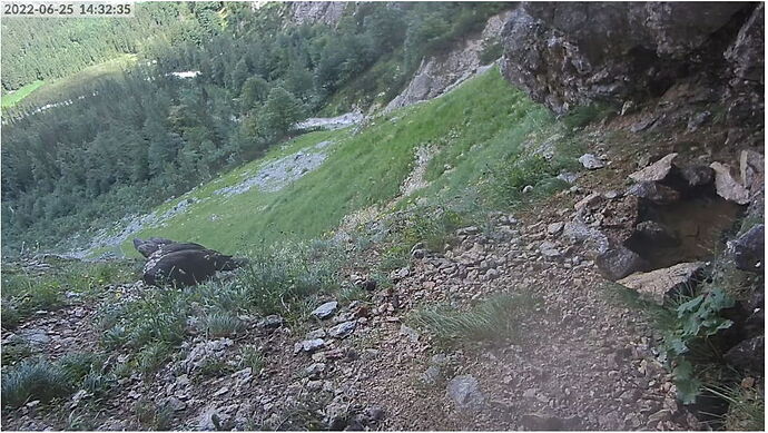 Snap_2022.06.25_14h33m03s_022_