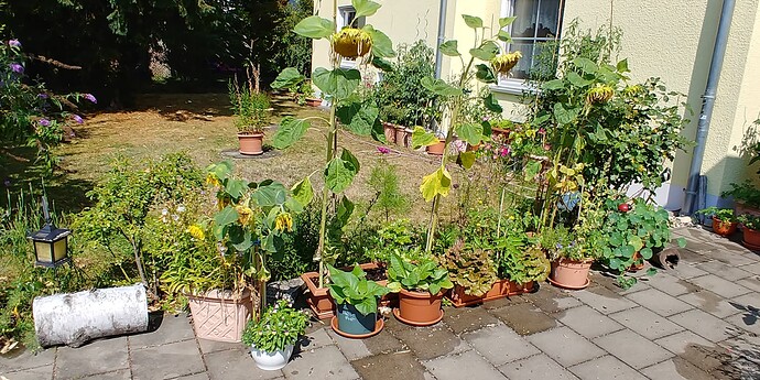 20220724_104626_HDR