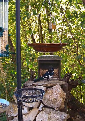 Screenshot_20220815-171722_Chrome