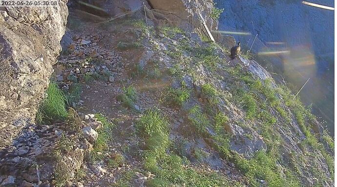 Snap_2022.06.26_05h30m36s_003_
