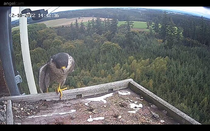 Screenshot_20221002-154303_Chrome