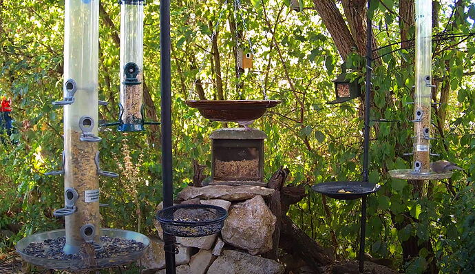 Snap_2022.08.15_16h28m51s_010_