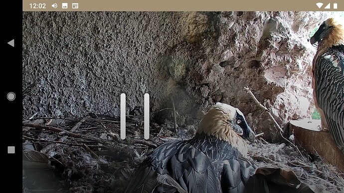 Screenshot_20221012-120230