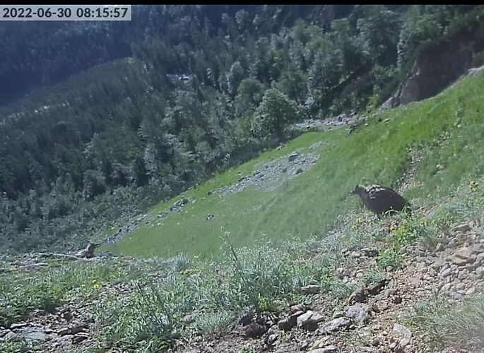 Snap_2022.06.30_08h16m31s_010_