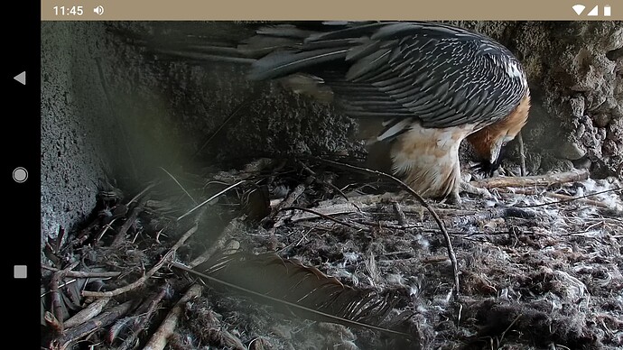 Screenshot_20221001-114532