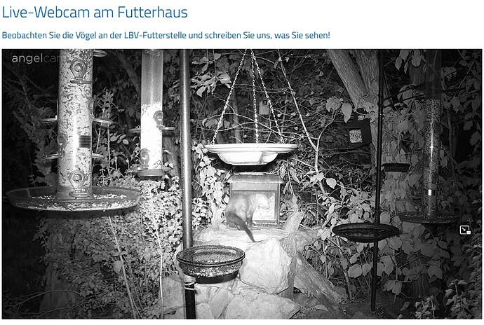 Screenshot 2022-08-06 223305 FH