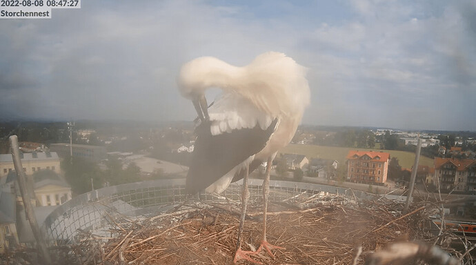 A321C62B-A340-4135-9B36-6BFD7091EDE5 2