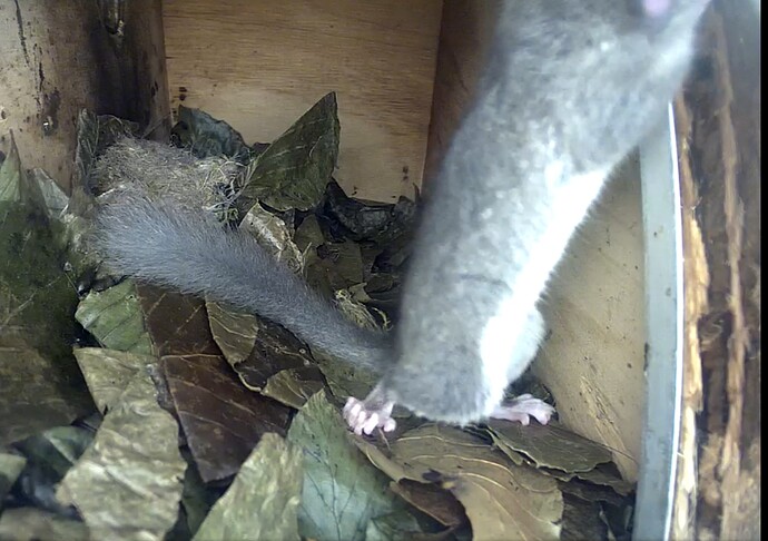 Screenshot_20220910-230522_Chrome