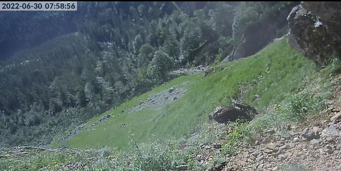 Snap_2022.06.30_07h59m29s_009_