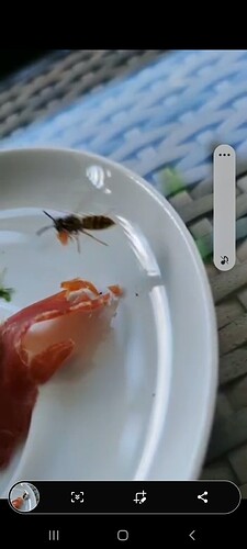 Screenshot_20220801-162406_WhatsApp