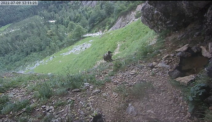 Snap_2022.07.09_12h11m46s_022_