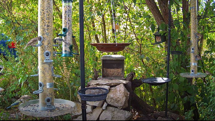 Snap_2022.08.17_14h22m14s_006_