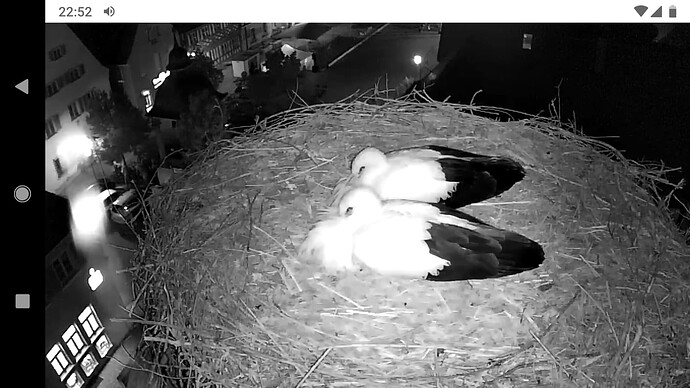 Screenshot_20220716-225202