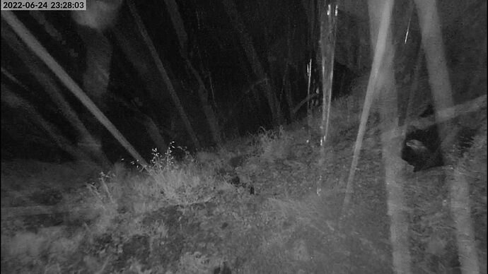 webcam2_006