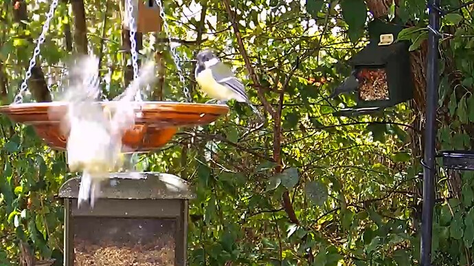 AAC7DF91-6C27-4F95-9662-00107833487A 2