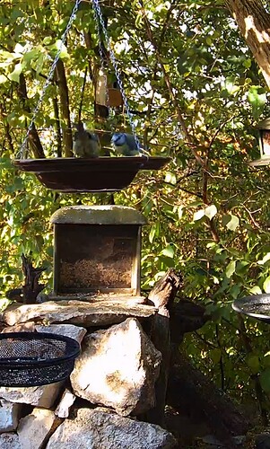 Screenshot_20220807-082245_Chrome