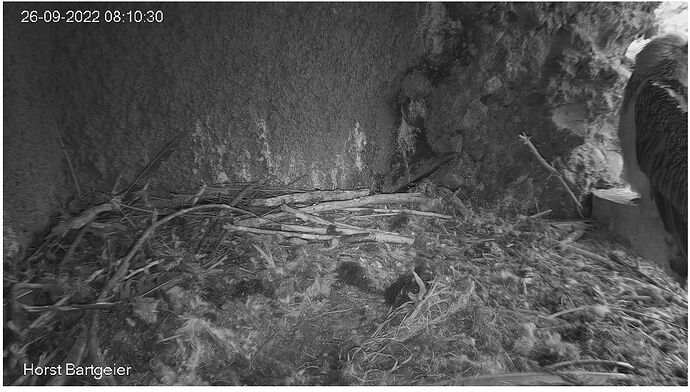 Snap_2022.09.26_08h11m15s_004_