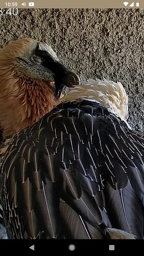 Screenshot_20220728-105920