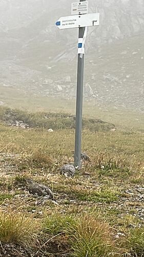 IMG-20220903-WA0003