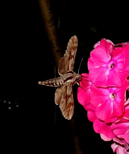 DSC01126