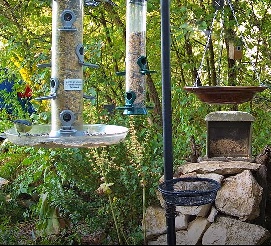 Snap_2022.08.04_06h34m19s_003_