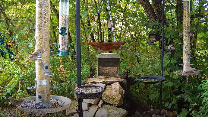 Snap_2022.08.20_12h42m35s_007_