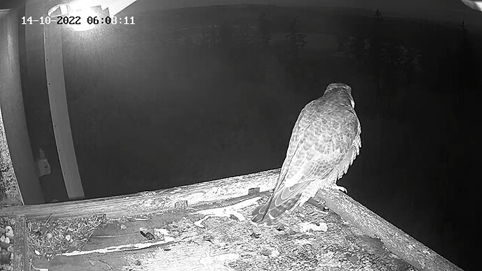 7.08