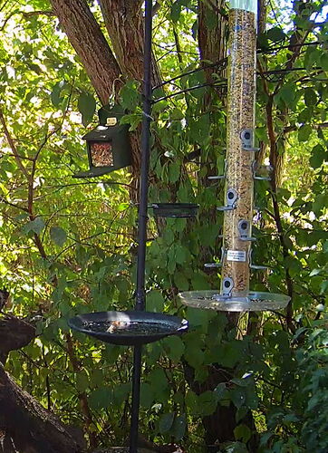 Snap_2022.08.04_14h03m53s_011_