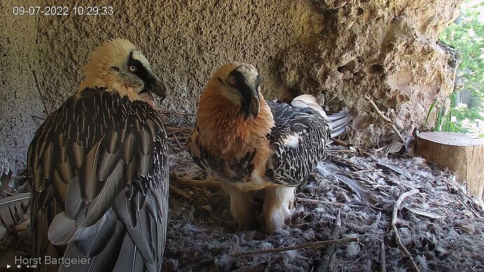 Mascha_Hans_220709_beide_zuhause