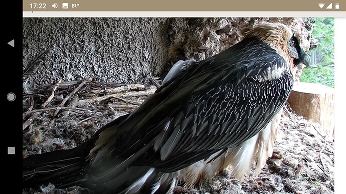 Screenshot_20220928-172203