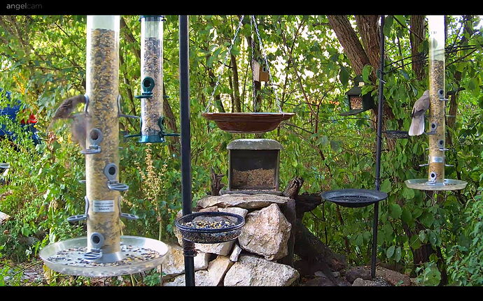 Snap_2022.08.12_18h49m26s_007_