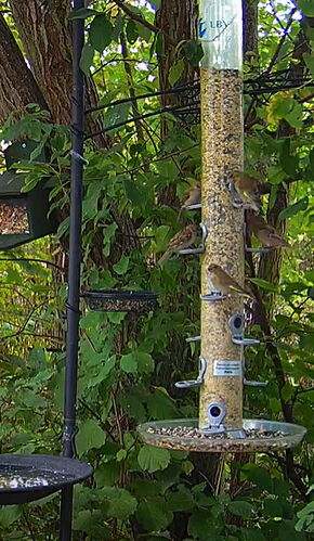 Snap_2022.08.21_13h27m55s_008_