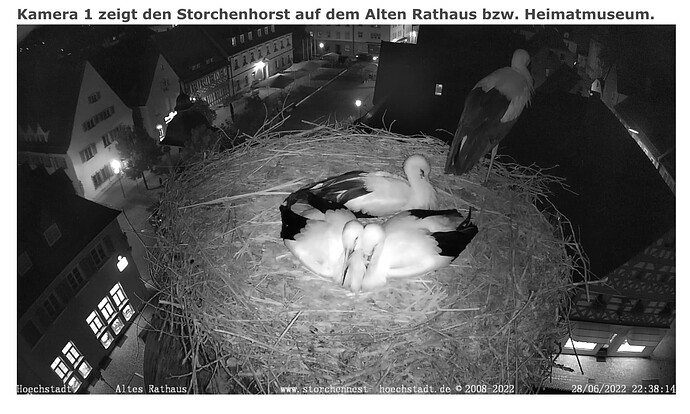 Bild