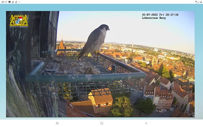 Screenshot_20220715-201734_Chrome