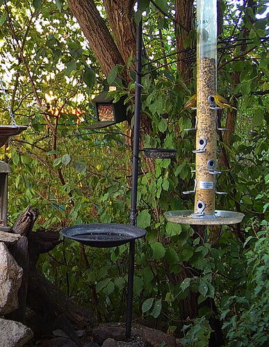 Snap_2022.08.13_07h13m18s_002_