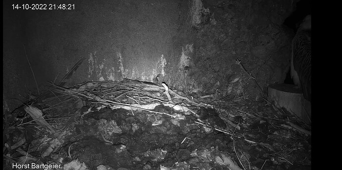 Screenshot_20221014-214858_Chrome