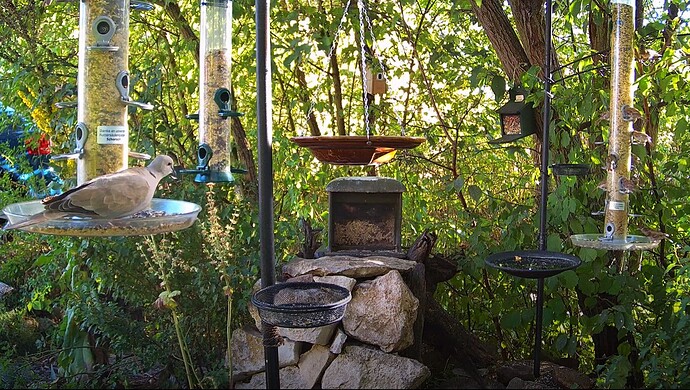 Snap_2022.08.03_18h41m34s_030_