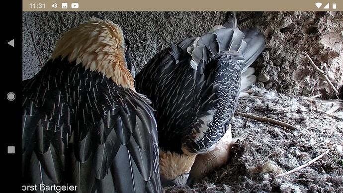 Screenshot_20220925-113140